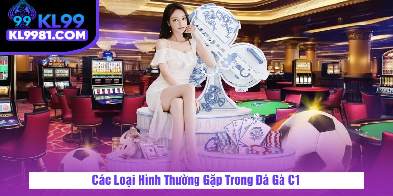 Các Loại Hình Thường Gặp Trong Đá Gà C1