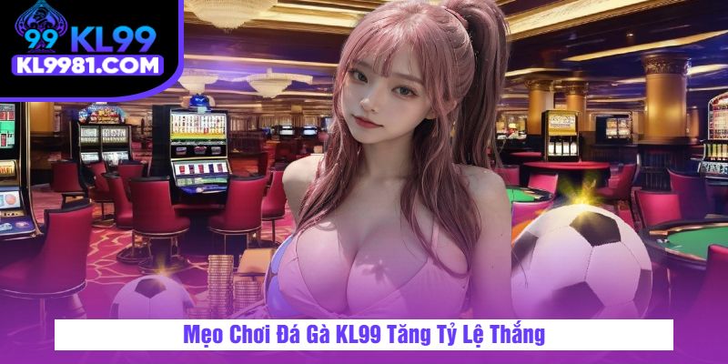 Mẹo Chơi Đá Gà KL99 Tăng Tỷ Lệ Thắng