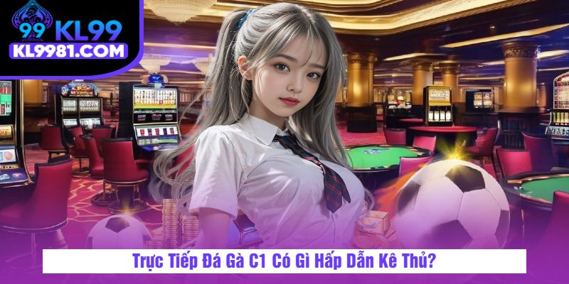 Trực Tiếp Đá Gà C1 Có Gì Hấp Dẫn Kê Thủ?
